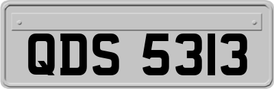 QDS5313