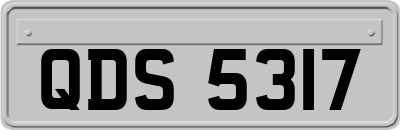 QDS5317