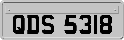 QDS5318