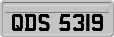 QDS5319