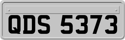 QDS5373