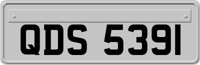 QDS5391