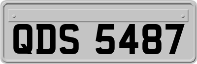 QDS5487