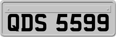 QDS5599