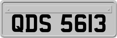 QDS5613