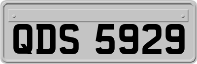 QDS5929