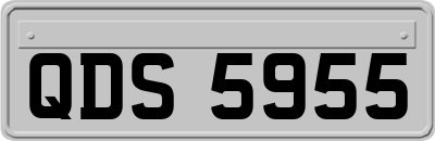 QDS5955