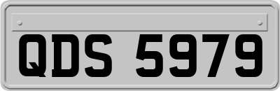QDS5979