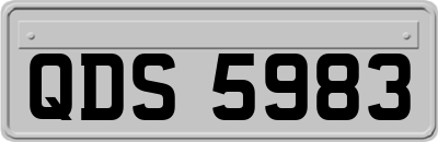 QDS5983