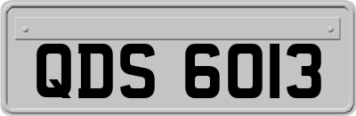 QDS6013