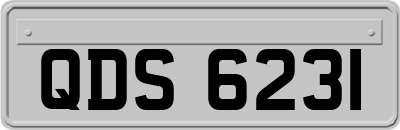 QDS6231