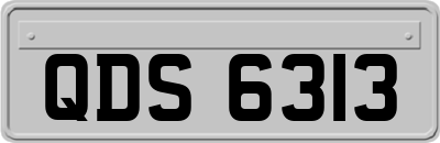 QDS6313