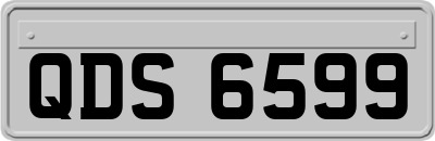 QDS6599