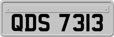 QDS7313