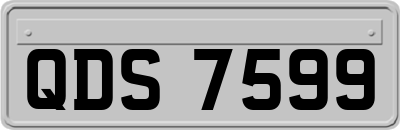 QDS7599