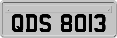 QDS8013