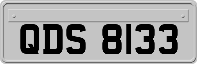 QDS8133