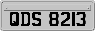 QDS8213