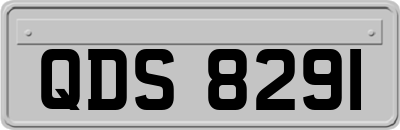 QDS8291