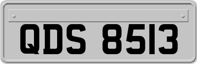 QDS8513
