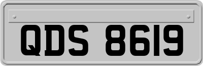 QDS8619