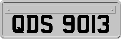 QDS9013