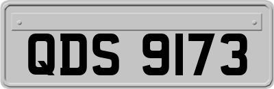 QDS9173