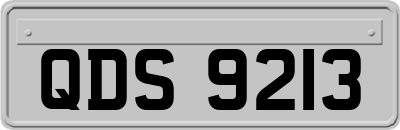 QDS9213