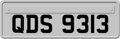 QDS9313