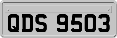 QDS9503