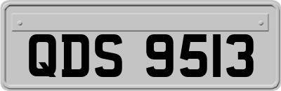 QDS9513