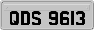 QDS9613