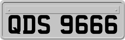 QDS9666