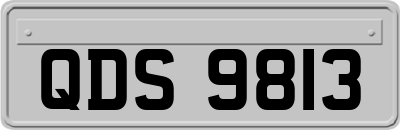 QDS9813