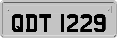 QDT1229