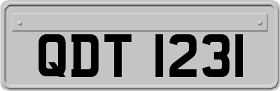 QDT1231