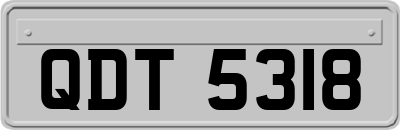 QDT5318
