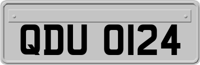 QDU0124