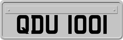 QDU1001