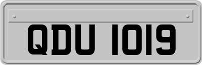 QDU1019