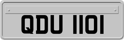 QDU1101