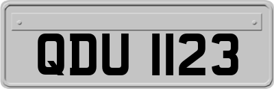 QDU1123