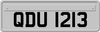 QDU1213