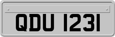 QDU1231