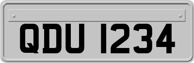 QDU1234