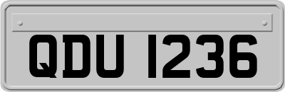 QDU1236