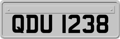 QDU1238