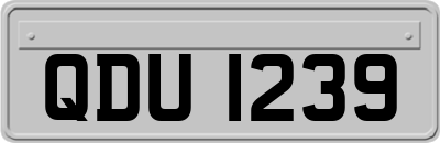 QDU1239
