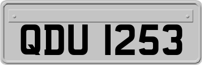 QDU1253