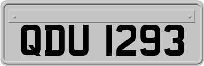 QDU1293
